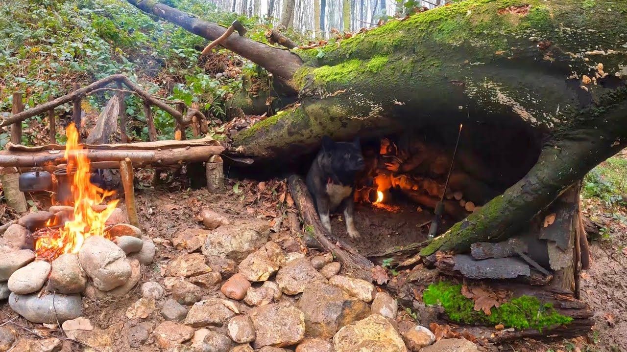 野外生存:冬季露营建遮蔽所,炊事备战