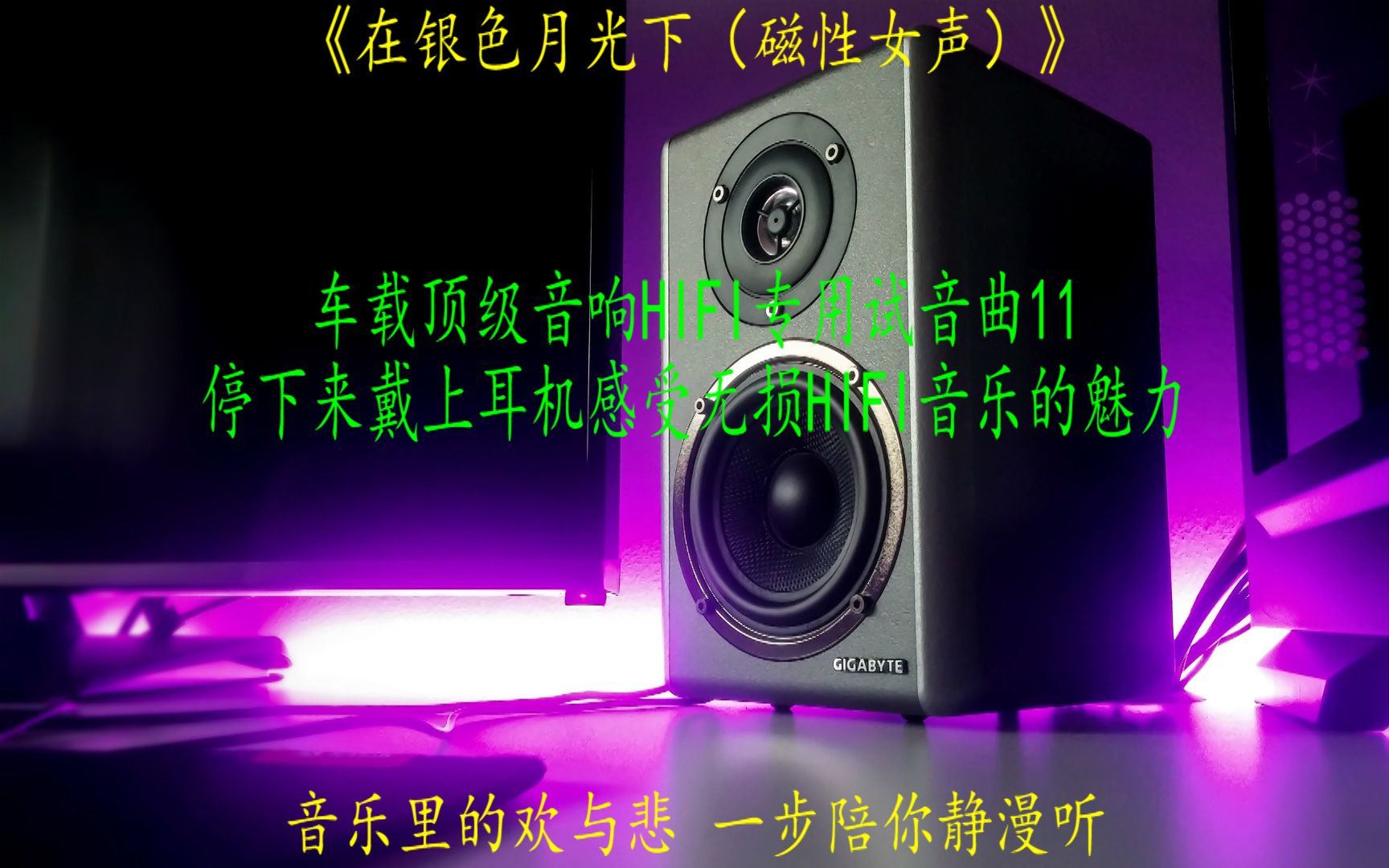 [图]车载顶级音响专用试音磁性女声演唱曲《在银色月光下》