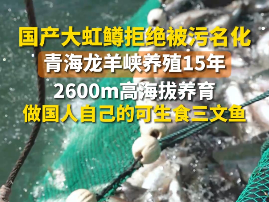 全国最大的三文鱼养殖基地,默默攻克三文鱼养殖技术15年,无数的技术人员、一线人员把青春贡献给了国产三文鱼,不鸣则已,一鸣惊人!在荒漠中“生长...