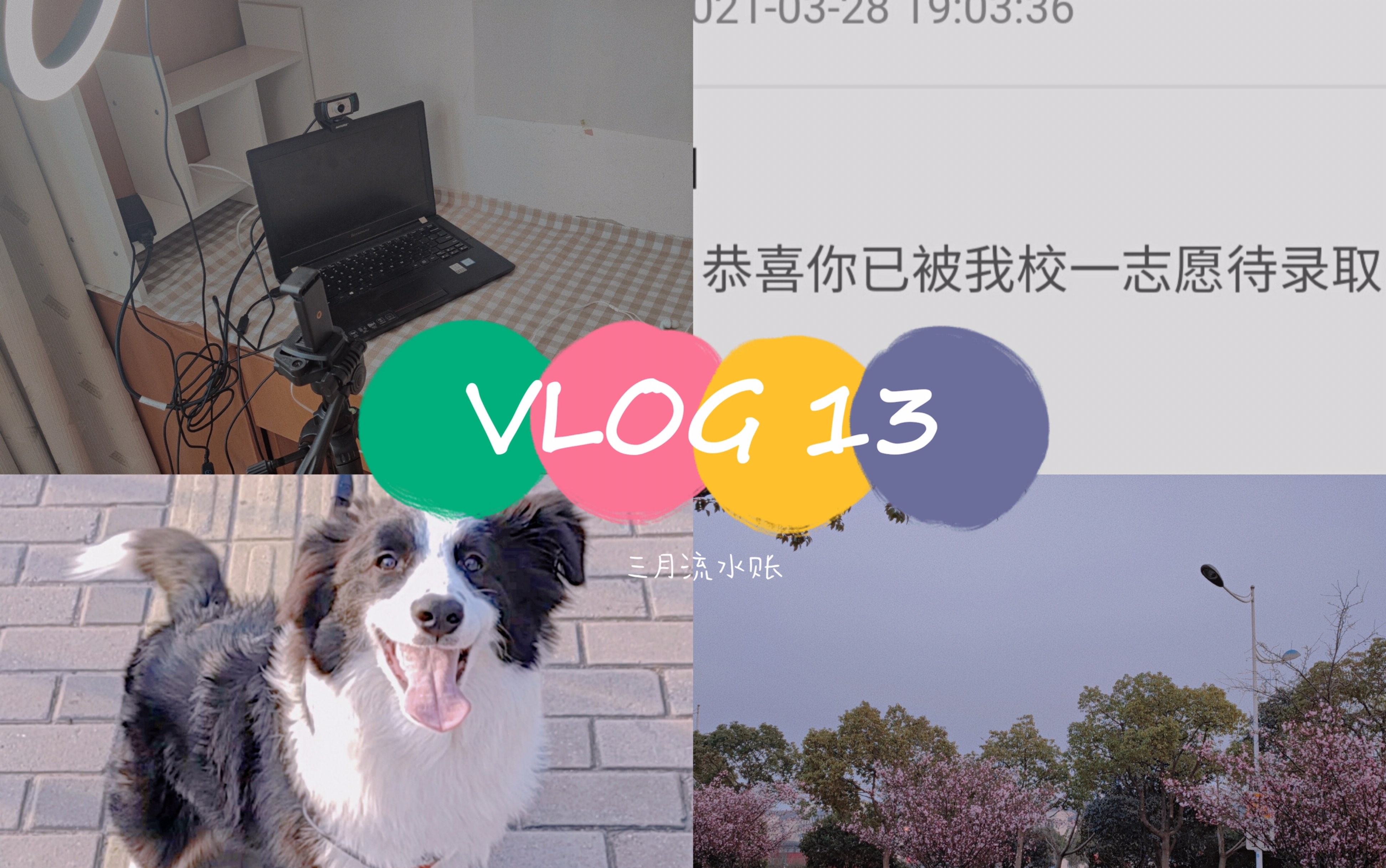 vlog13|三月流水账|考上研究生啦|初试成绩查询|初春的校园|准备复试|与毕业论文斗争哔哩哔哩bilibili