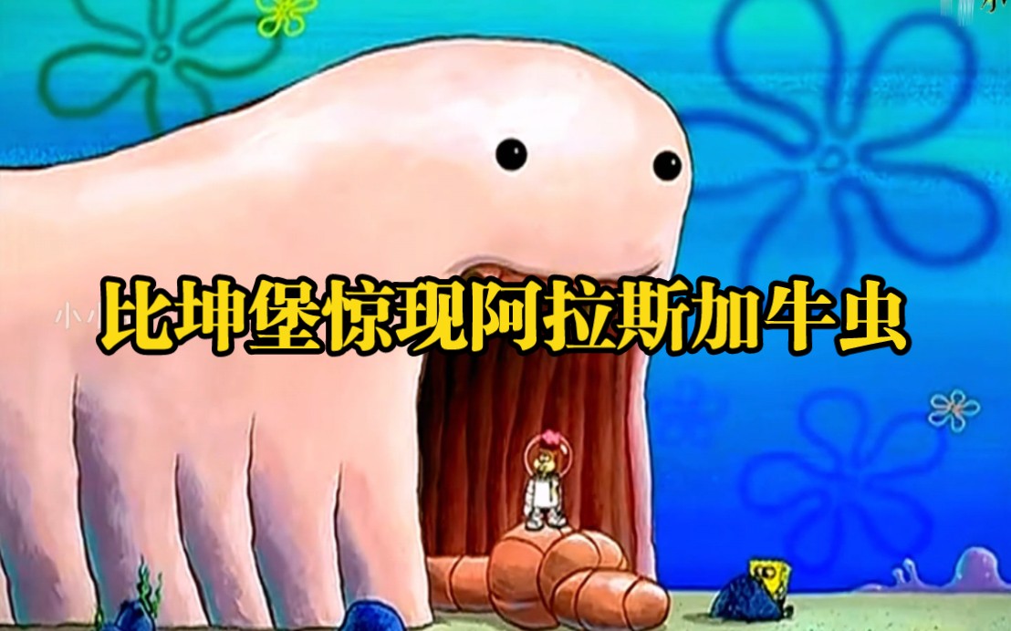 比奇堡惊现阿拉斯加牛虫