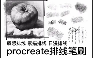 Download Video: 简介自取【高级质感排线笔刷procreate】100大洋买的高质感排线笔刷【素描 日系，质感笔刷】