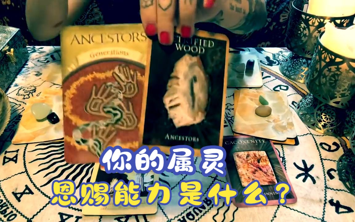 你的属灵恩赐能力是什么?(选一张卡片!)看看你的更高目标𐟌™[AnitaSirene& Stargirl &星女]𐟌™哔哩哔哩bilibili