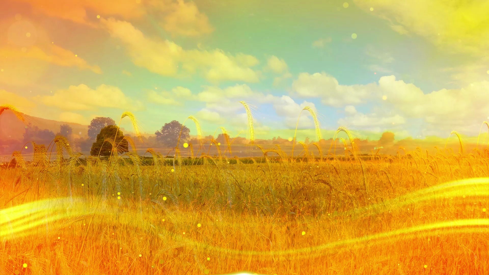 胡小喃《丰收》唯美秋天丰收伴奏晚会舞台演出表演led背景视频