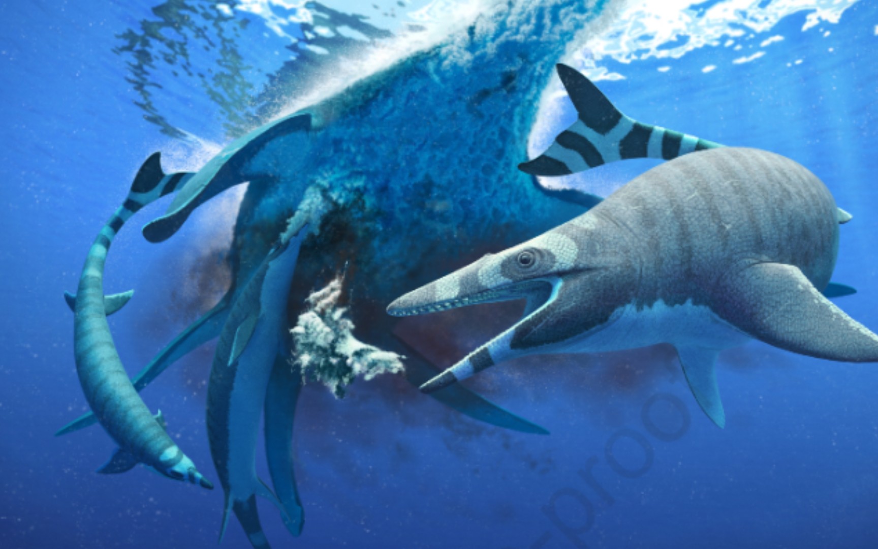 传说,每一只蛇颈龙都有一只深爱它的沧龙