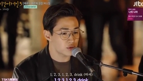 最新 Chandelier 歌词解说 Chandelier 歌词解说 Pavilionwakioak