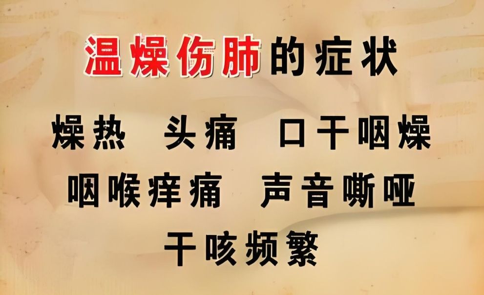 第131节:风燥犯肺证 — 喉痒干咳,唇鼻干燥,痰中带血哔哩哔哩bilibili