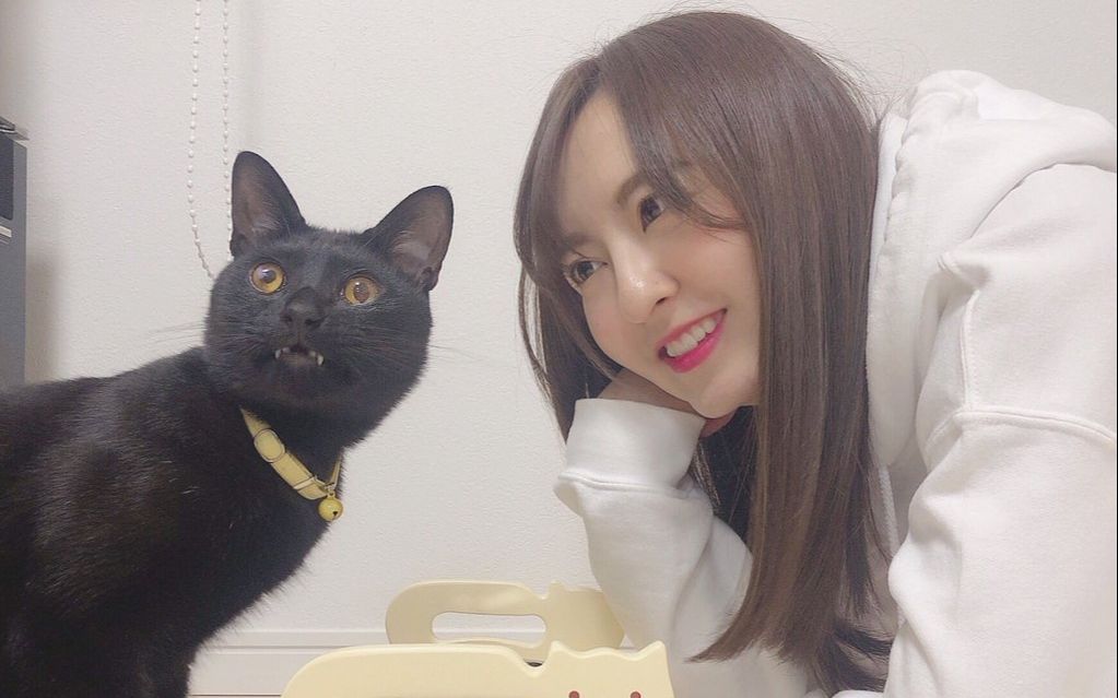 【hkt48】武田智加摄影:《傲娇黑猫森保圆》_哔哩哔哩 (゜-゜)つロ