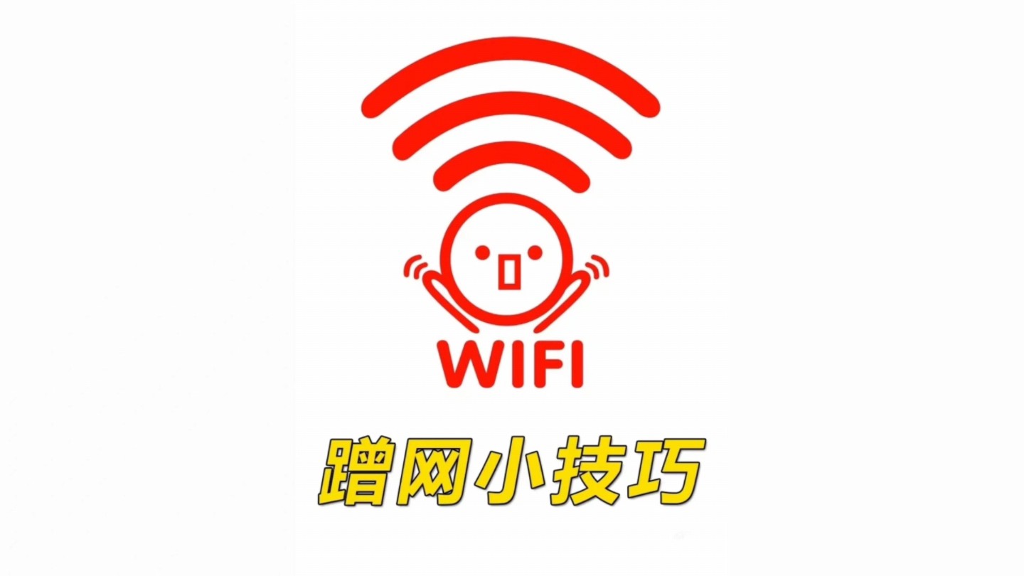 wife是什么意思中文(wife是什么意思中文翻译)
