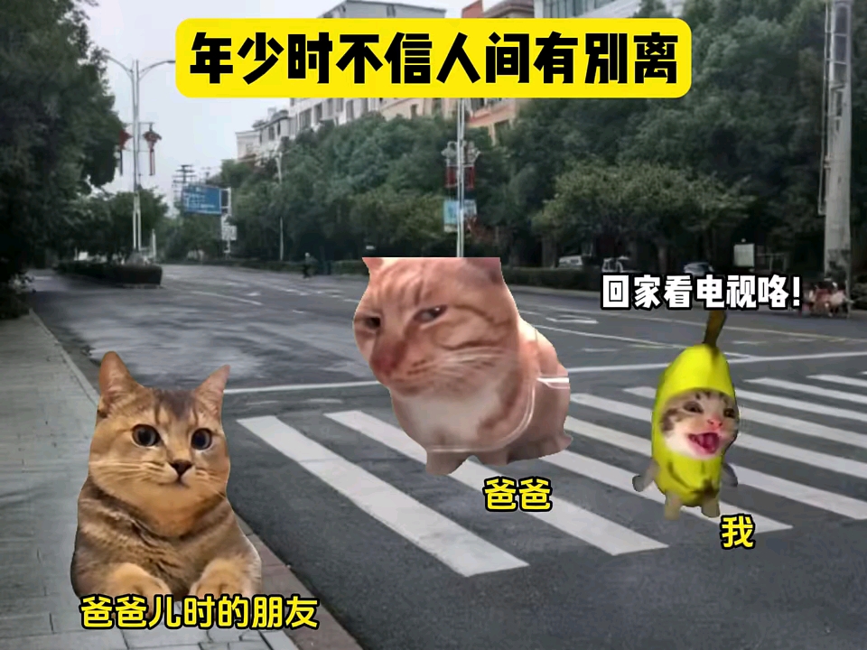 年少时不信人间有别离