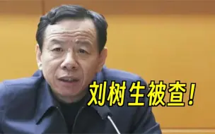 Download Video: 阜阳师范大学原党委书记刘树生被查！