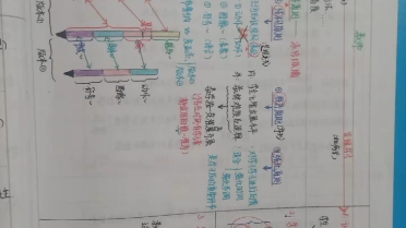 布鲁纳认知发现学习理论哔哩哔哩bilibili