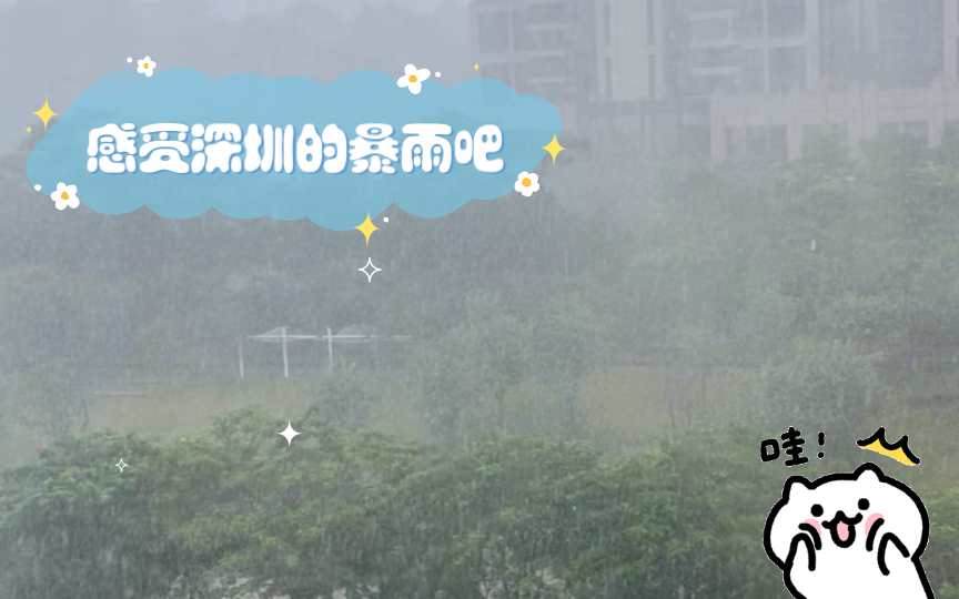 [图]感受深圳的暴雨吧