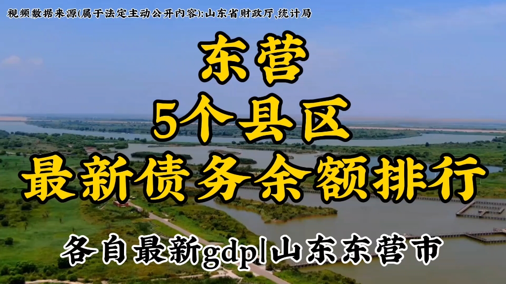 山东东营下辖5个县区最新债务余额排行以及各自gdp,发掘城市数据.洞察别样东营哔哩哔哩bilibili