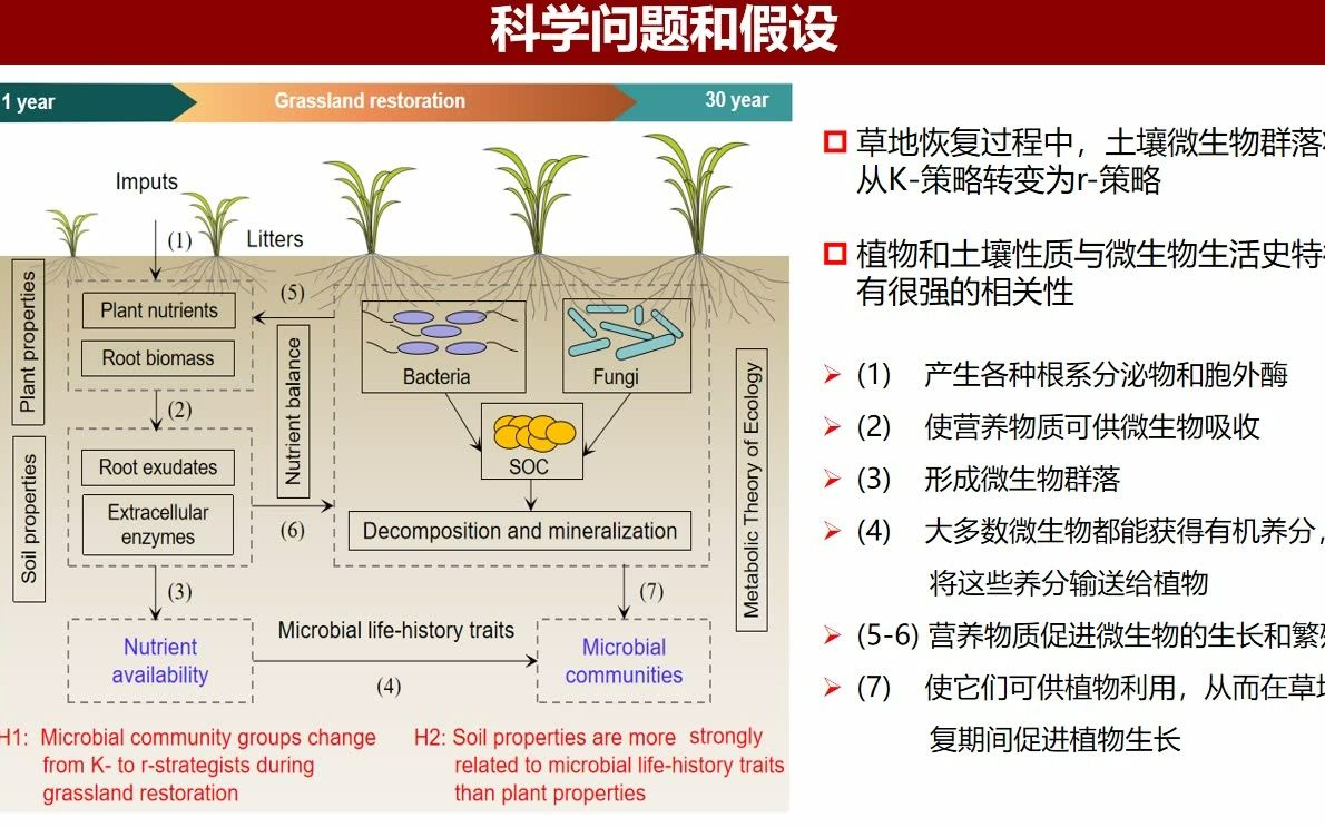 iMeta | 解译恢复草地土壤微生物生活史策略及其影响因素哔哩哔哩bilibili