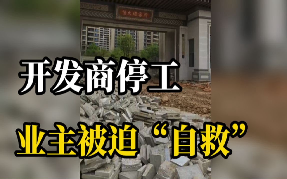 恒大一小区长期停工,业主为"自救"自发干活