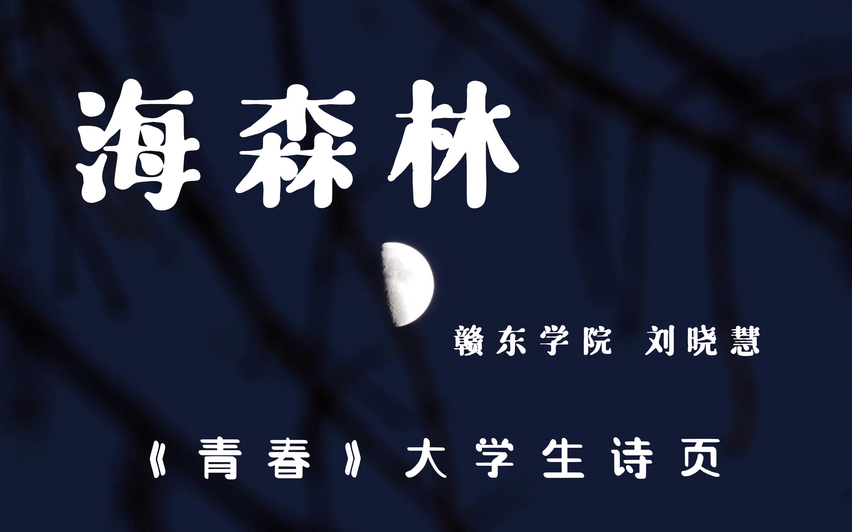 大学生的诗丨《海森林》 “ 我曾经认真地爱过那片绿意 只是大海无法容纳森林”「 赣东学院 刘晓慧」哔哩哔哩bilibili