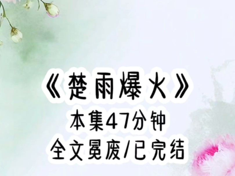 楚雨爆火哔哩哔哩bilibili