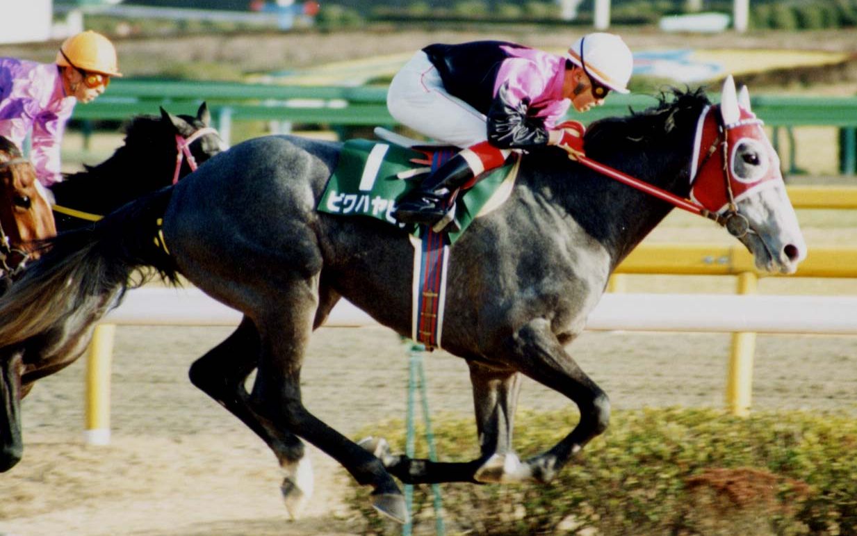 20世纪的名马 第20位 biwa hayahide(琵琶晨光)_哔哩哔哩 (゜-゜)つロ