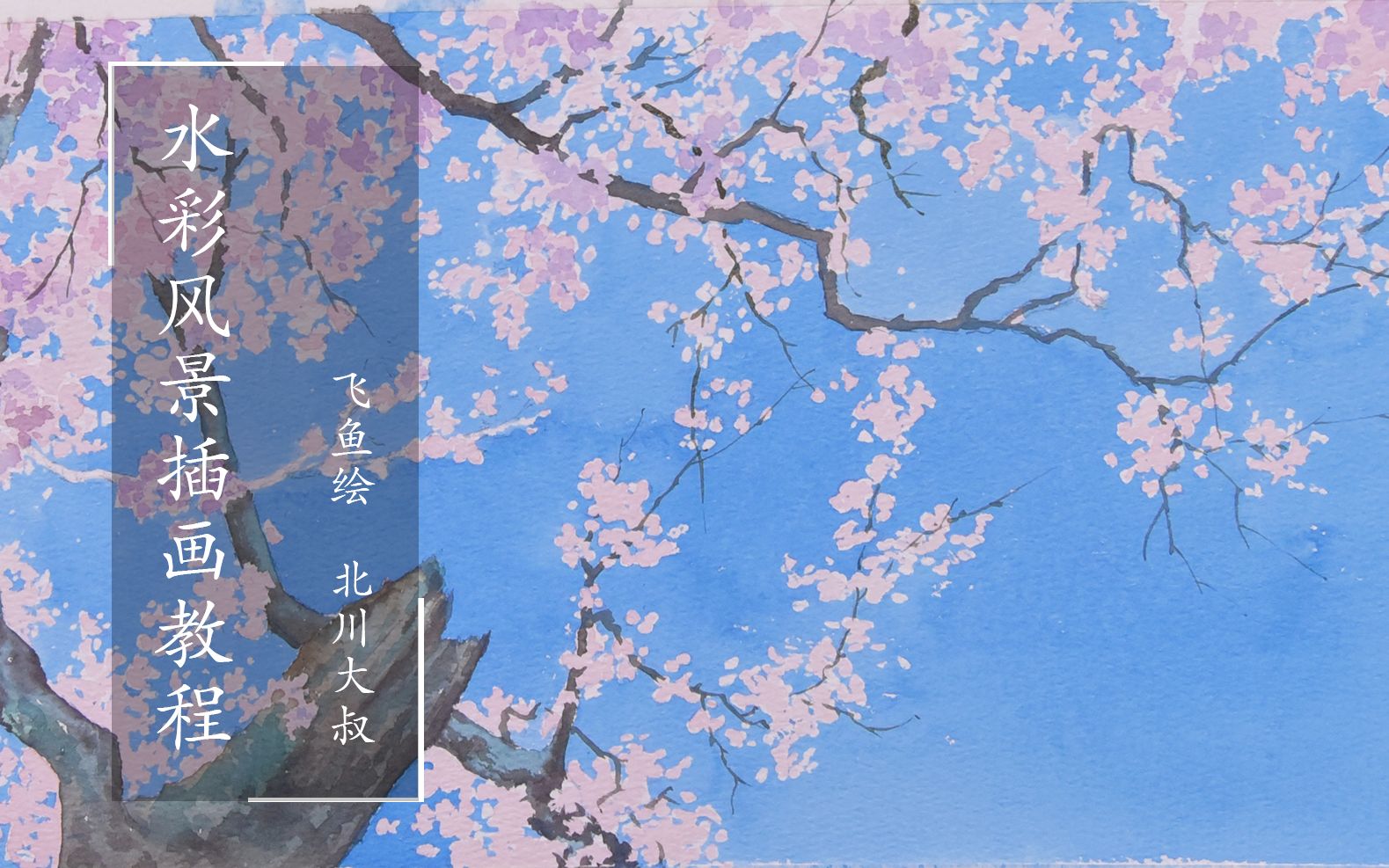 樱花场景绘制哔哩哔哩bilibili