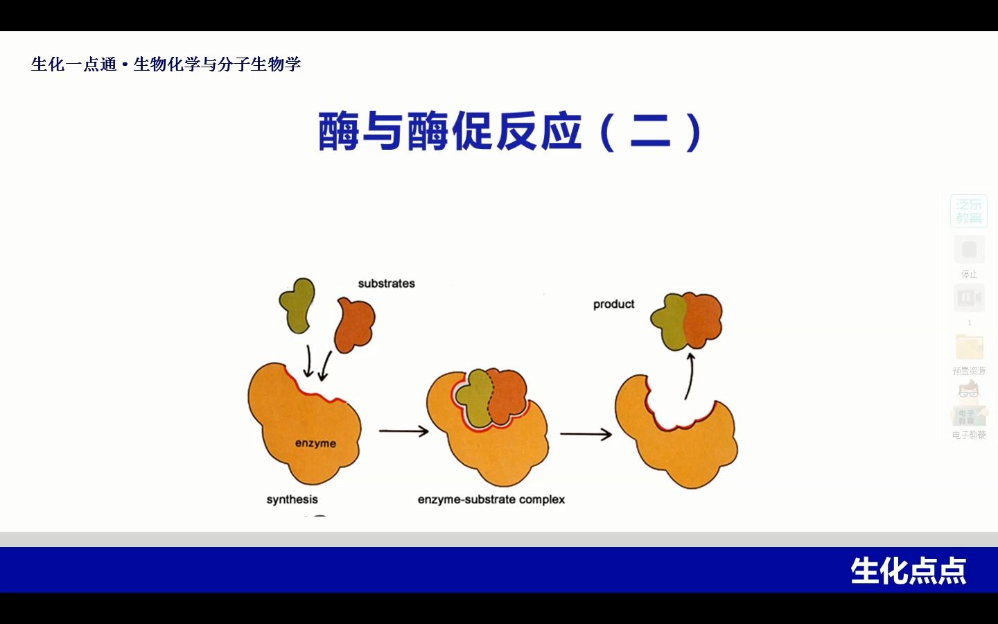 7 酶的催化原理哔哩哔哩bilibili