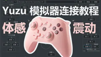 YUZU模拟器[体感]连接教程-