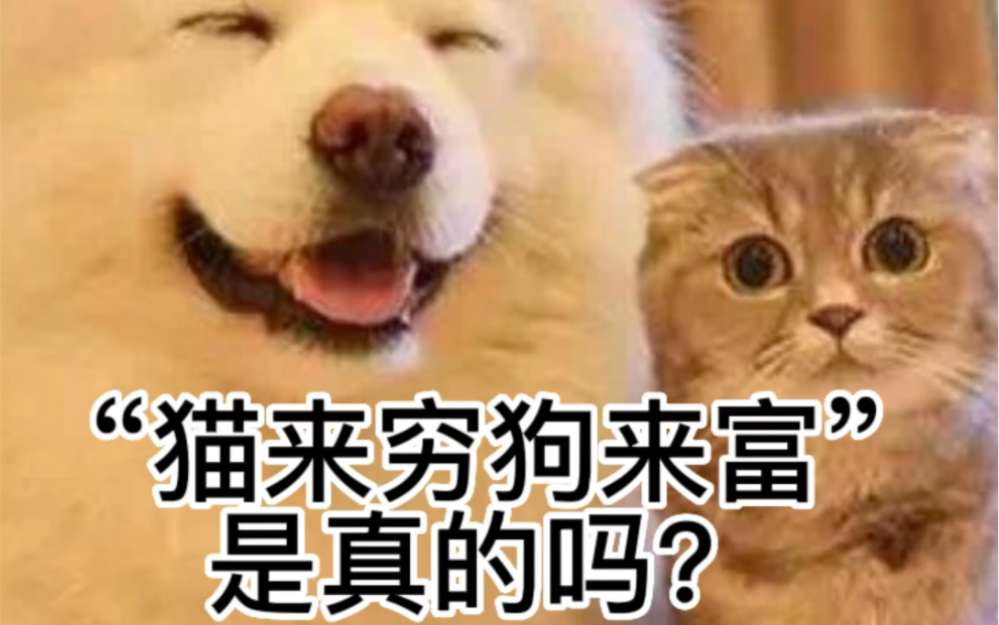 "猫来穷狗来富"是真的吗