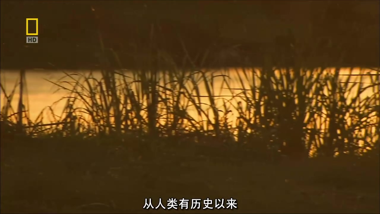 [国家地理].河流与生活系列Rivers and Life——尼罗河Nile哔哩哔哩bilibili