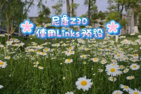 Download Video: 【尼康Z30】为了用Links预设，在一个晴天出门克服摄恐