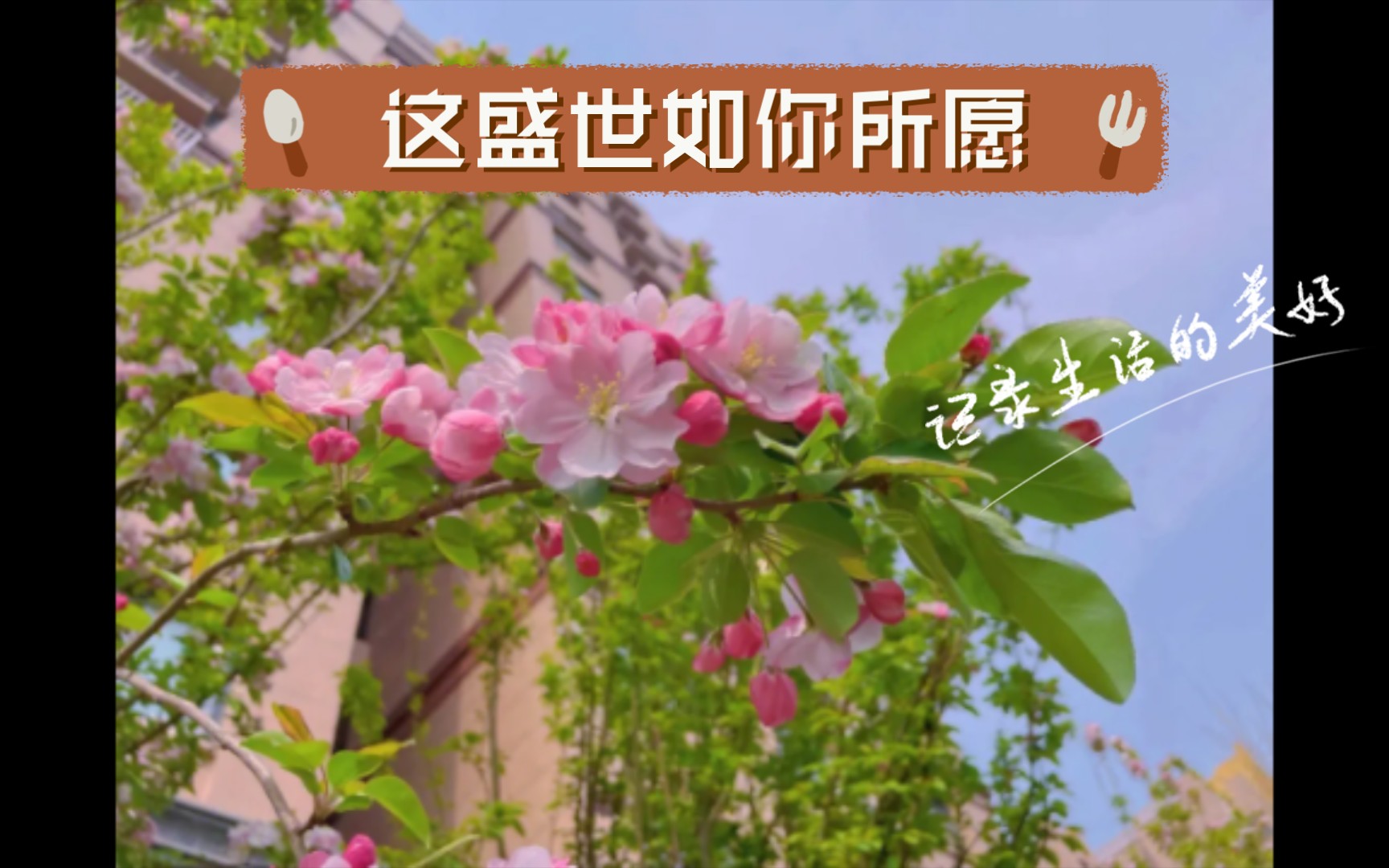 这盛世如你所愿