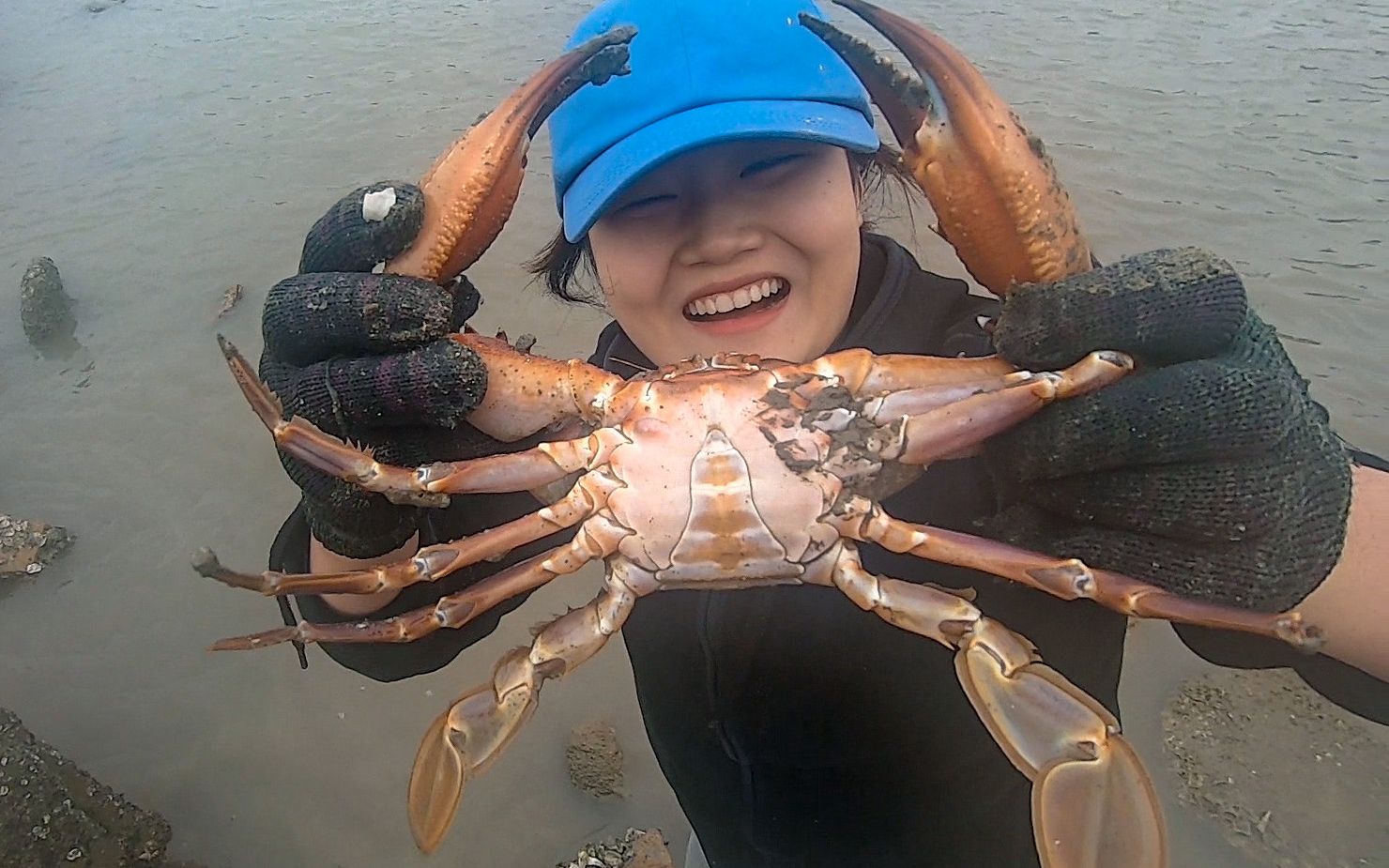 猪猪赶海狂抓几十只,奶奶今晚有口福了_哔哩哔哩_bilibili