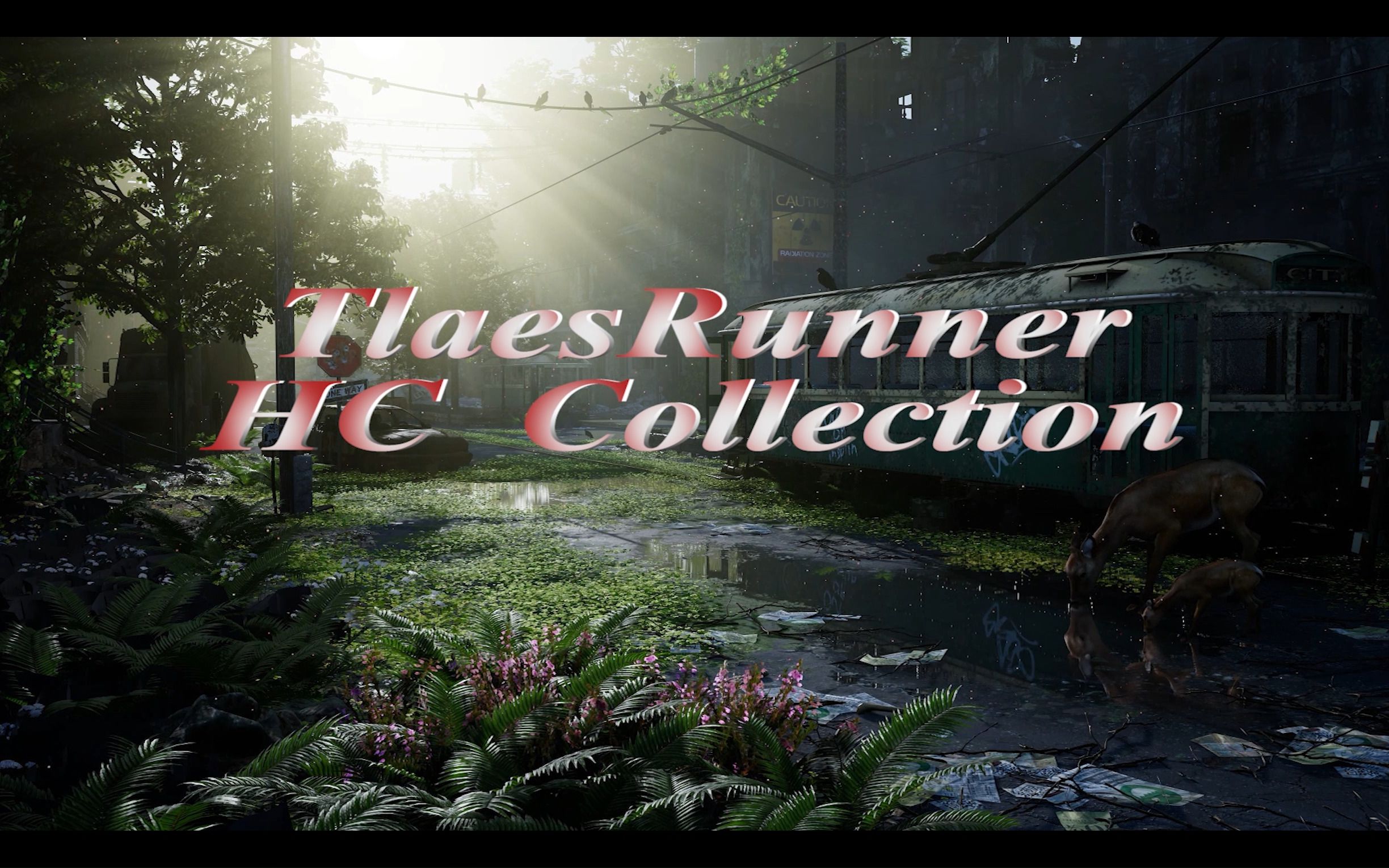 [图]Tales Runner HC