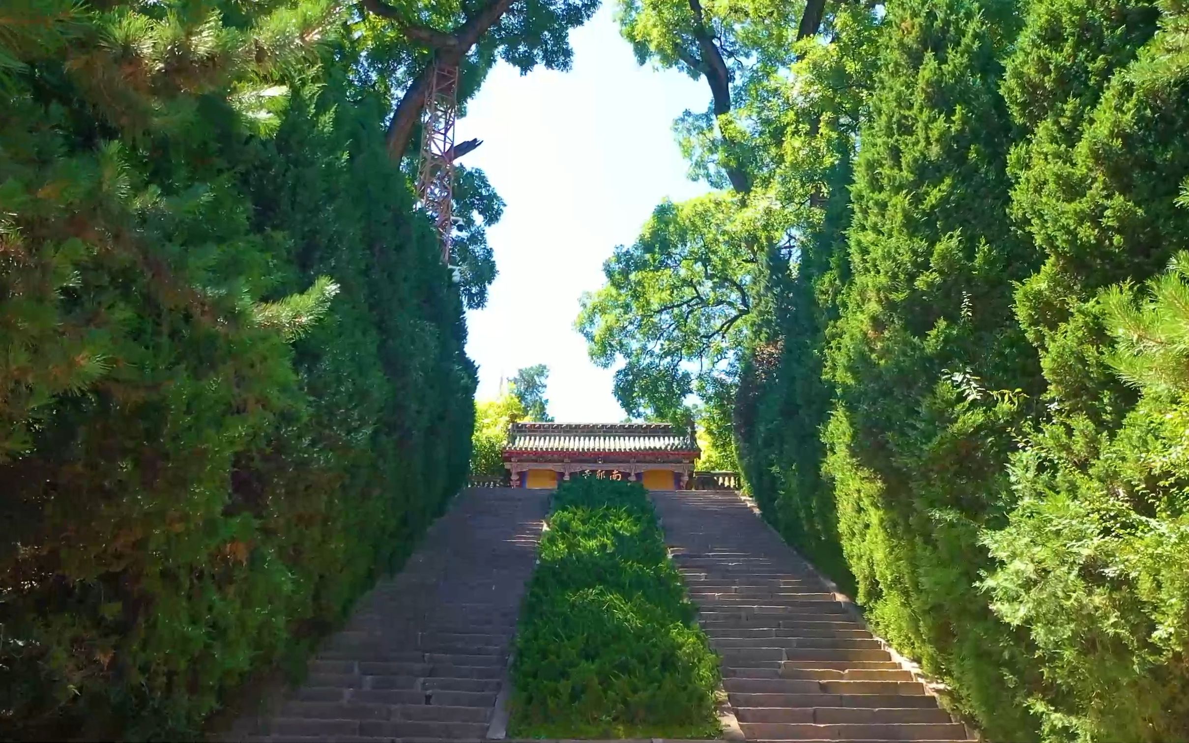 还是夏天好啊 天水 南郭寺