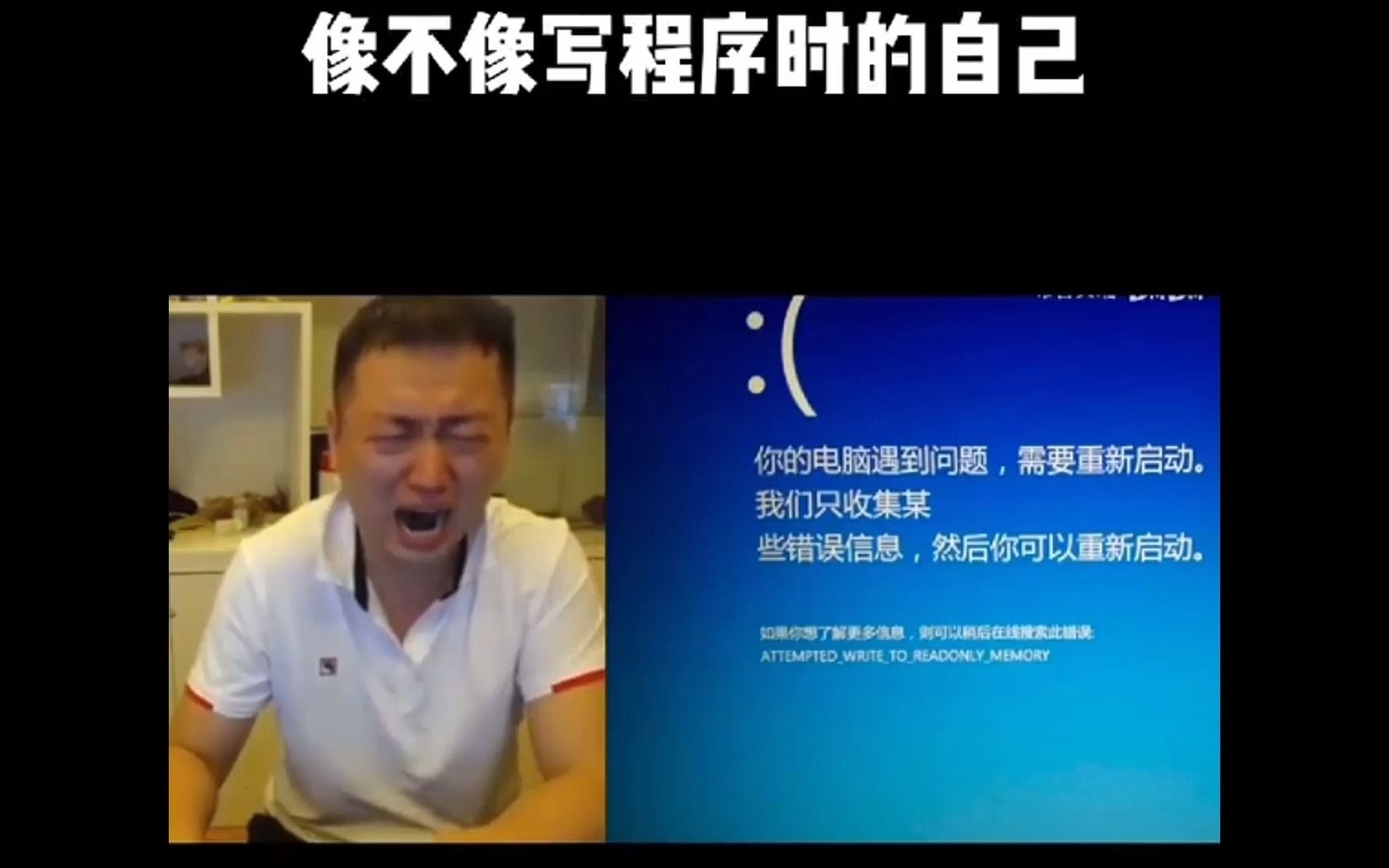 药水哥敲代码表情包图片