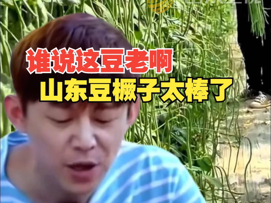 谁说这豆老啊?我们山东豆橛子可太棒了!哔哩哔哩bilibili