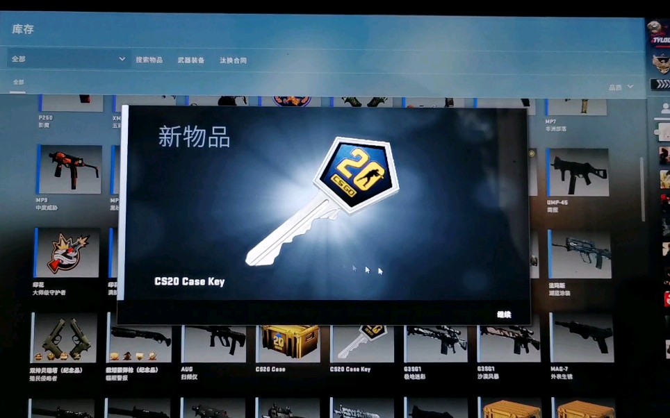 【lycheeflo/csgo20周年纪念箱】《csgo》csgo20周年金箱 第一期