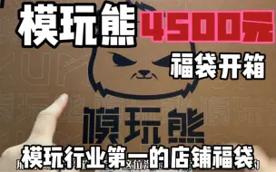 Download Video: 某宝模玩第一的模玩熊～4500元福袋开箱！