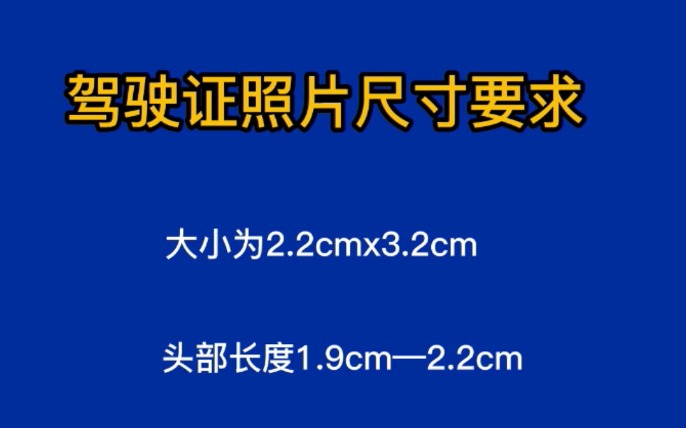 # 驾照电子照 #便民服务交管12123 驾驶证电子版 #图马摄影哔哩哔哩bilibili