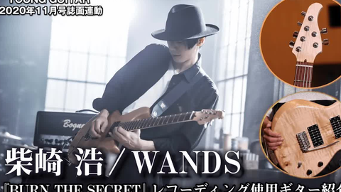 Sale 37 Off Wands Burnthesecret 全7点 Blu Ray Cd ミュージック Mupa Monash Edu My