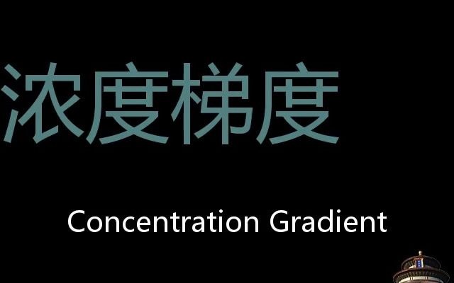 浓度梯度 Chinese Pronunciation Concentration Gradient哔哩哔哩bilibili