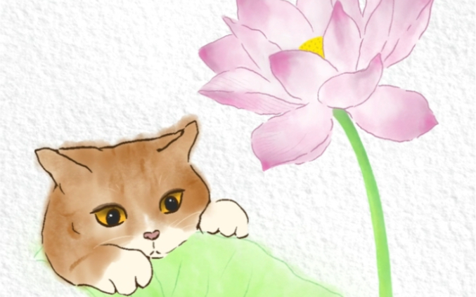 猫咪爬在荷叶上欣赏盛开的荷花