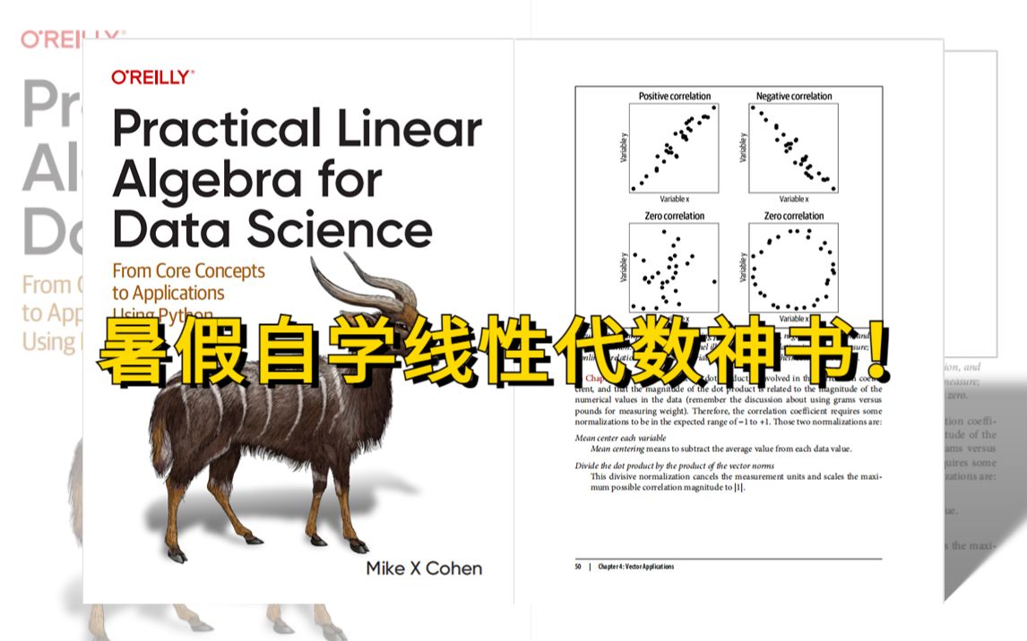 [图]【一本让我学会线性代数的神书！】直接让我知道如何思考矩阵、向量和作用于它们的操作-人工智能/机器学习/深度学习