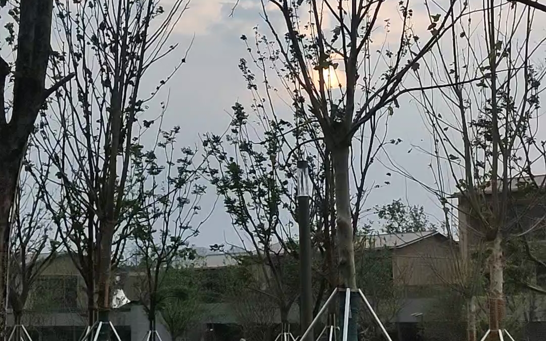 苏州狮子山
