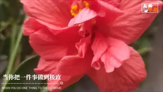 Descargar video: 无限极致