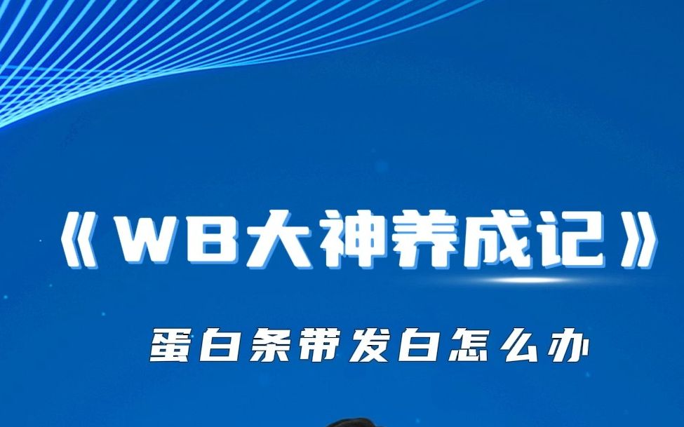 wb大神养成记蛋白条带发白怎么办?哔哩哔哩bilibili