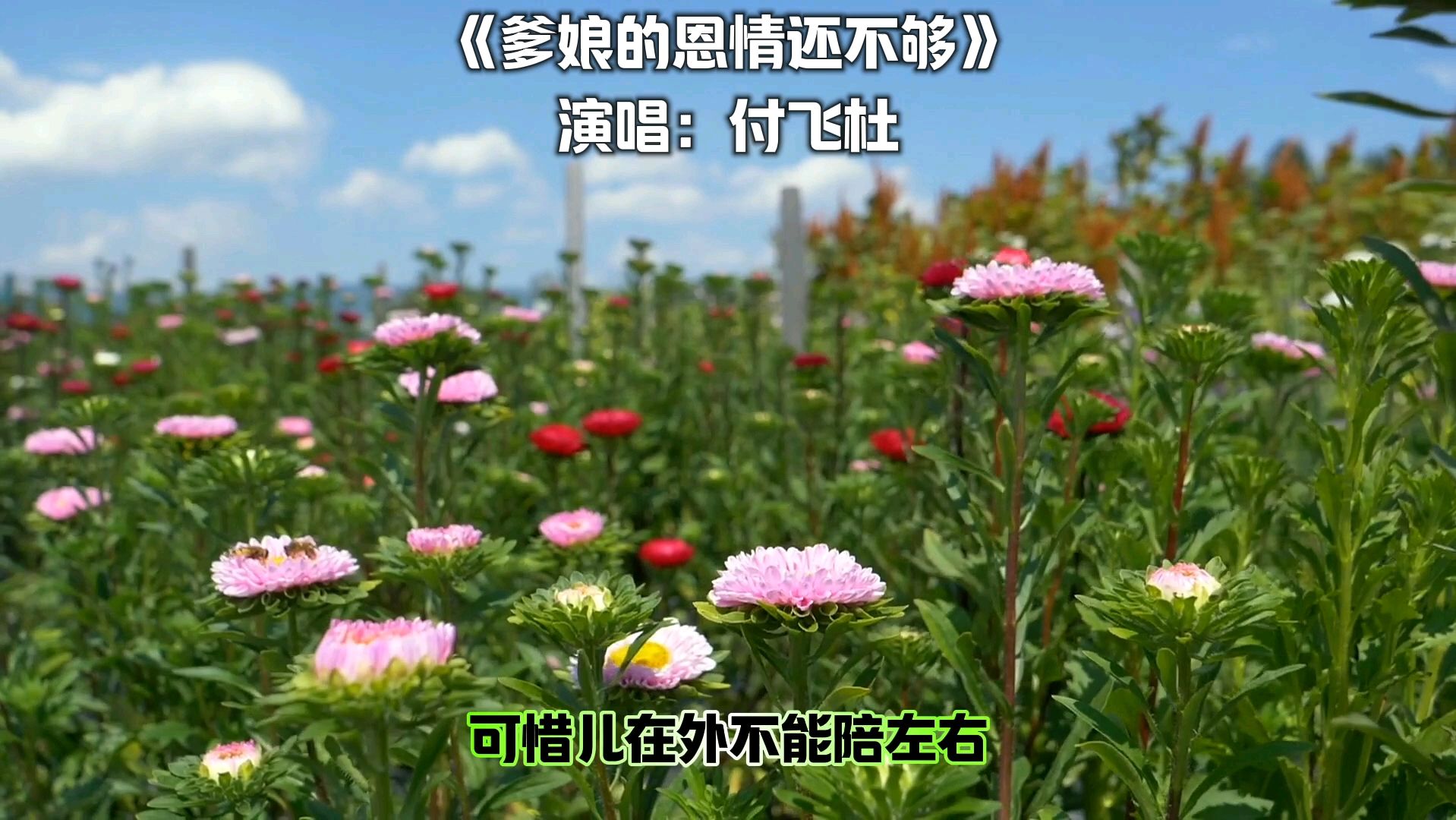 [图]《爹娘的恩情还不够》趁着父母健在多陪陪他们，别等失去了才知道珍惜