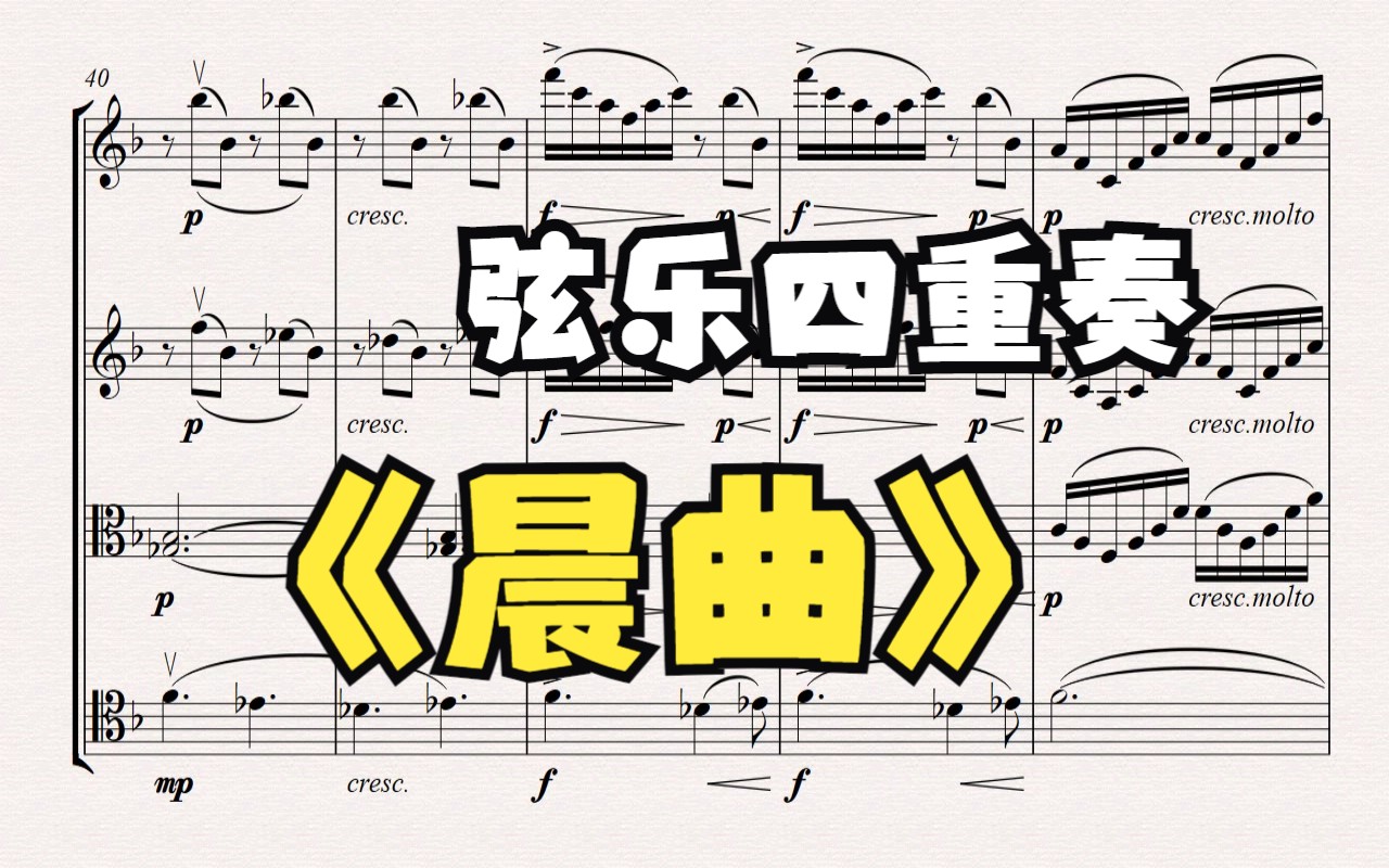 弦乐四重奏  晨曲哔哩哔哩bilibili