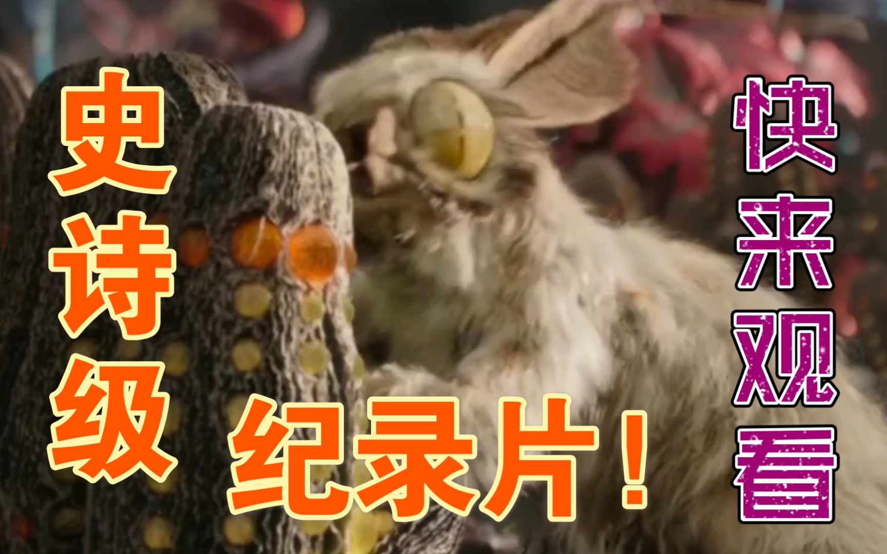 《外星世界》第一季(一)带你看外星生物进化史!