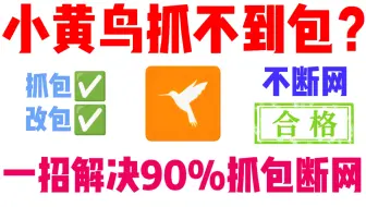 小黄鸟抓不到包？完美解决方案