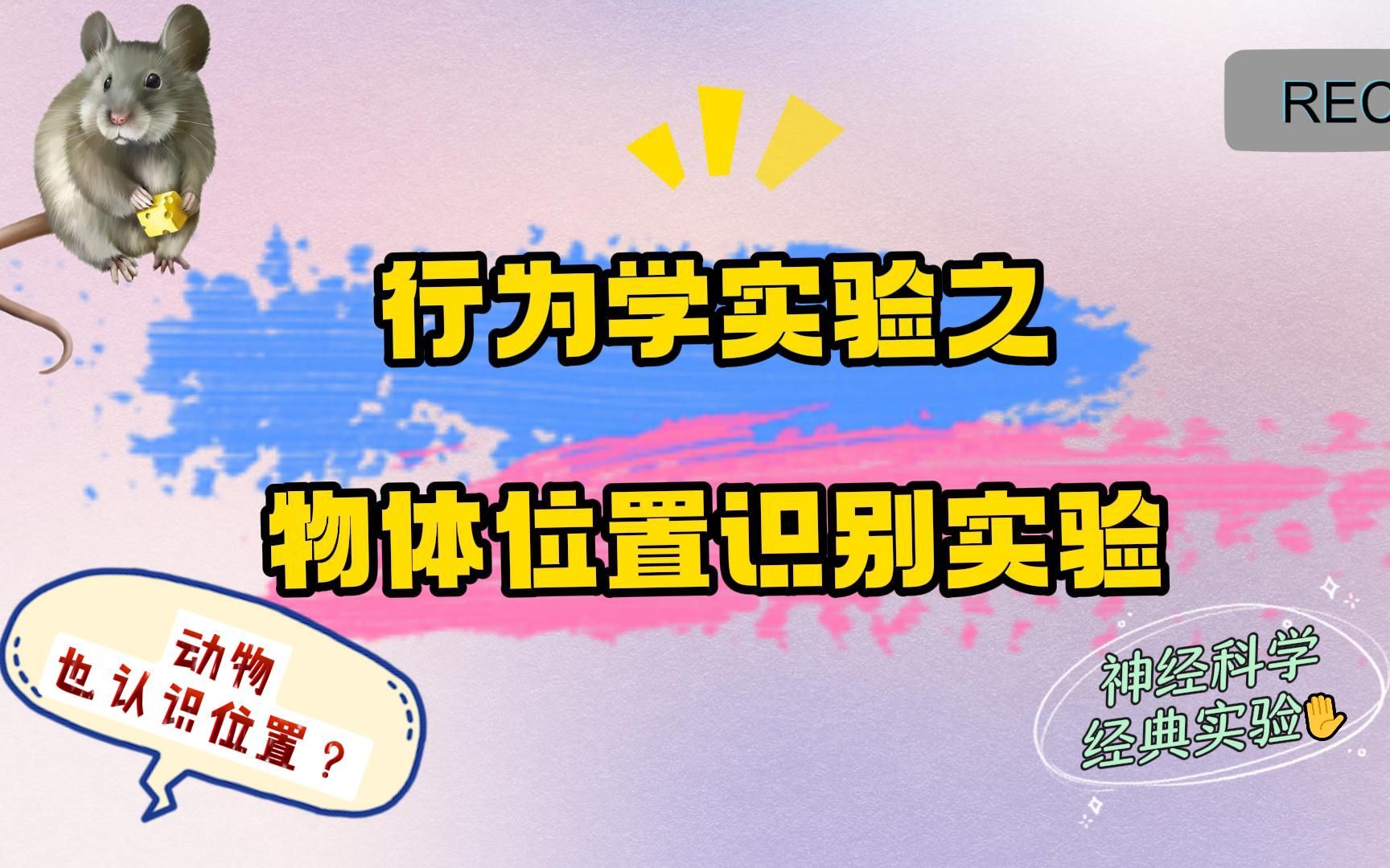 [图]动物认知行为学实验-物体位置识别实验